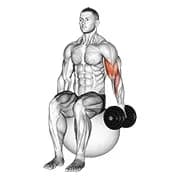 Hantel ein Arm sitzt Bizeps Curl auf Übung Ball