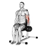 Hantel ein Arm sitzt Hammer Curl