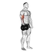 Langhantel ein Arm Standing Curl