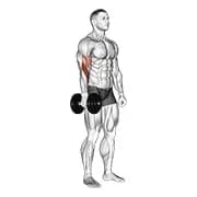 Hantel 1 Arm Standing Hammer Curl