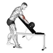 Dumbbell ein Arm Zottman Prediger Curl