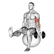 Hantel sitzt ein Arm Bizeps Curl auf Übungsball mit erhobenem Bein