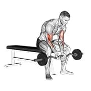 ez bar sitzende enge Griff Konzentration curl