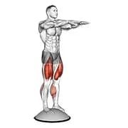Squat auf bosu ball