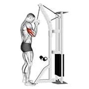 Kabel ein Arm Tricep Pushdown