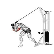 Kabelseil High Riemen Overhead Tricep Erweiterung