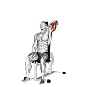Hantel sitzende Rückseite Griff einen Arm Overhead Tricep Verlängerung