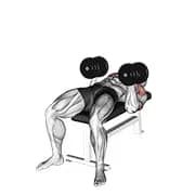 Hantelzwirnbankpresse