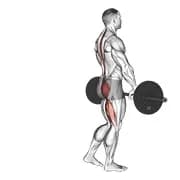 Langhantel Single Leg Deadlift