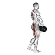 Langhantel Single Leg Deadlift
