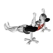 Ellenbogenlift - Reverse Push-up