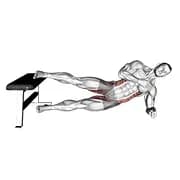 Side Plank Hip Adduktion