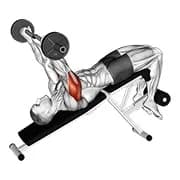 ez barbell drop triceps extension