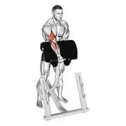 Dumbbell Standing Zottman Prediger Curl