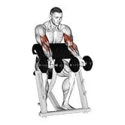 dumbbell zottman prediger curl.