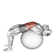 Stabilität Ball Crunch (voller Bereich Hände hinter dem Kopf)