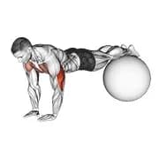 schmales Push-up am Übungsball