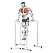 Breitgriff Brustdip auf hohen parallelen Bars
