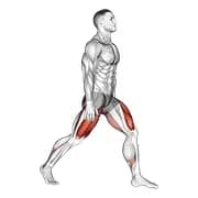 Split Squats
