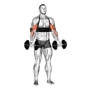 Hantel alternative Bizeps Curl (mit Arm Blaster)