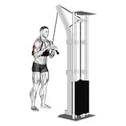 Kabeltrizeps pushdown (v-bar) (mit Armblaser)
