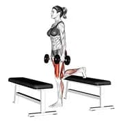 Langhantel Step-up-Lunge