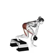 Dumbbell Single Leg Deadlift mit Stepbox-Unterstützung