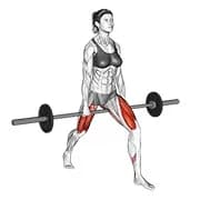 Barbell Split Squat v. 2