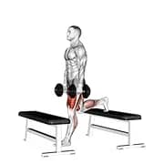 Langhantel Step-up Split Squat