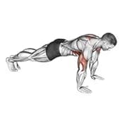 Push-up plus