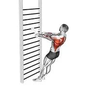 Bodyweight Standrudern (mit Handtuch)