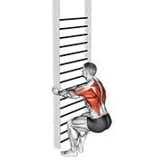 Bodyweight Hocking Rudern