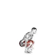 semi squat jump (männlich)