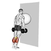 Übungsball an der Wand Wadenerhöhung (Tennisball zwischen Knien)