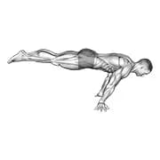 Vollplanke