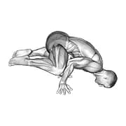 Froschplanken