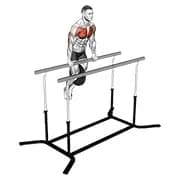 gewichtetes Straight Bar Dip