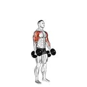 Hantel stehender alternativer Hammer Curl und drücken