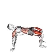 Reverse Planke mit Beinlift