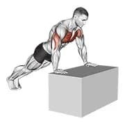 Neigungs-Push-up (auf Box)