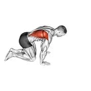 Kniende Latissimus-Dehnung