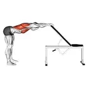 Latissimus-Dehnung an der Bank